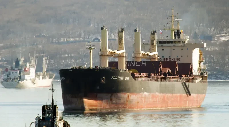 GOLDEN MAGPIE Bulk Carrier IMO 9657404 photo 4