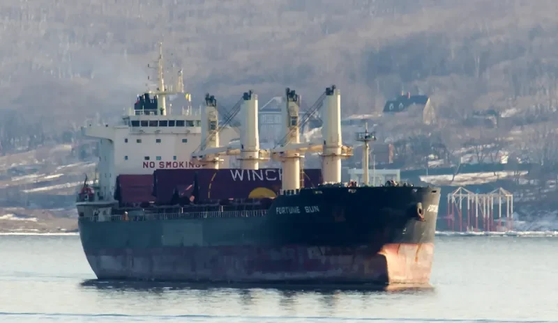 GOLDEN MAGPIE Bulk Carrier IMO 9657404 photo 5