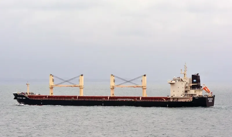 GOLDEN MAGPIE Bulk Carrier IMO 9657404 photo 6