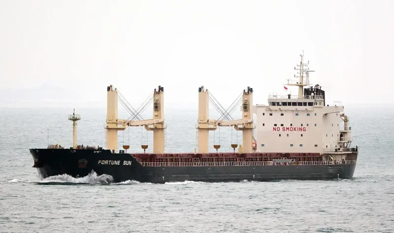 GOLDEN MAGPIE Bulk Carrier IMO 9657404 photo 7