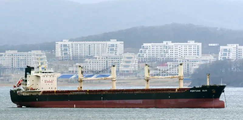 GOLDEN MAGPIE Bulk Carrier IMO 9657404 photo 8