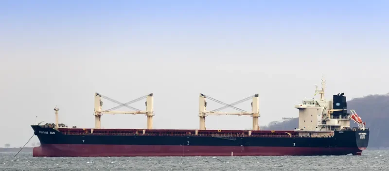GOLDEN MAGPIE Bulk Carrier IMO 9657404 photo 9
