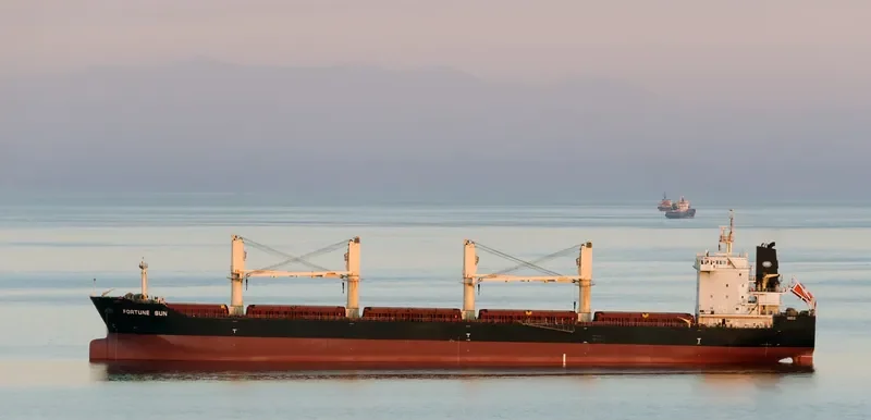 GOLDEN MAGPIE Bulk Carrier IMO 9657404 photo 10