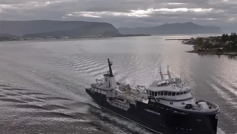 RONJA POLARIS General Cargo IMO 9657765