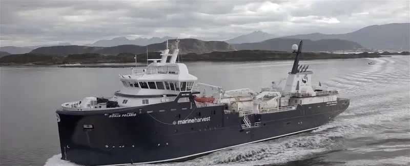 RONJA POLARIS General Cargo IMO 9657765 photo 2