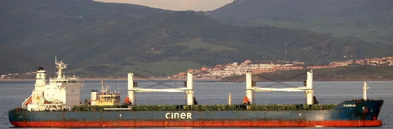 SAMSUN Bulk Carrier IMO 9657777 photo 3