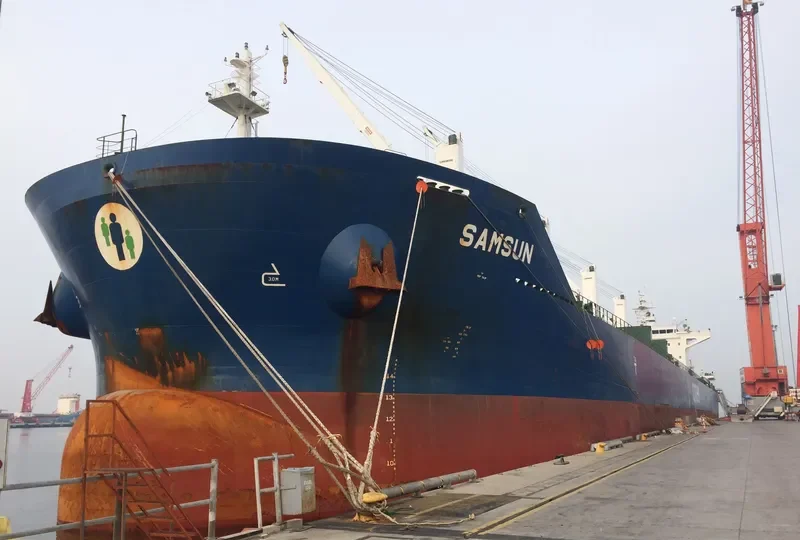 SAMSUN Bulk Carrier IMO 9657777 photo 4