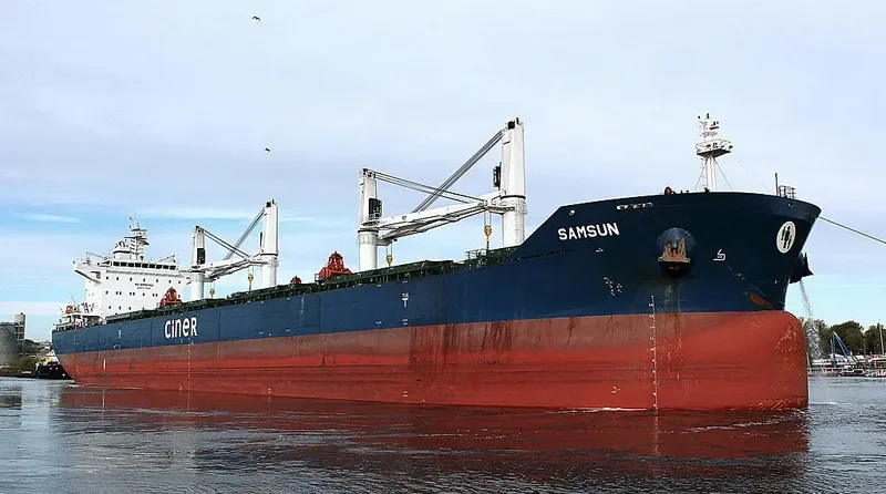 SAMSUN Bulk Carrier IMO 9657777 photo 5