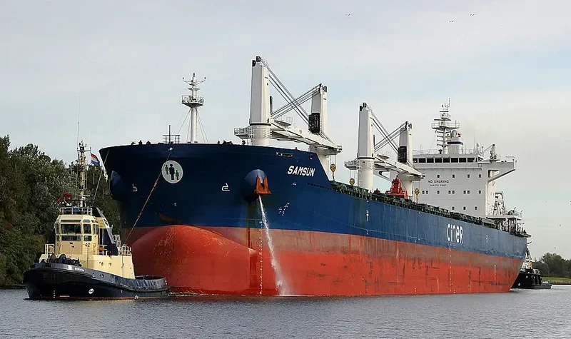 SAMSUN Bulk Carrier IMO 9657777 photo 6