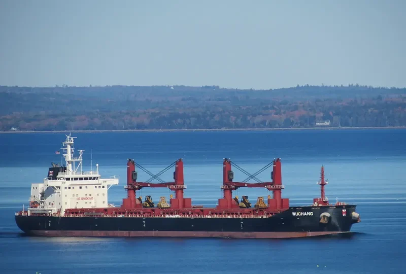 WUCHANG Bulk Carrier IMO 9657844 photo 4