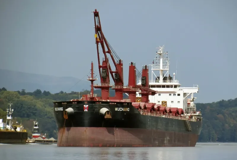 WUCHANG Bulk Carrier IMO 9657844 photo 9