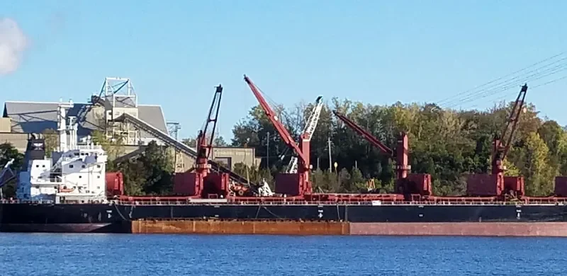WUCHANG Bulk Carrier IMO 9657844 photo 10