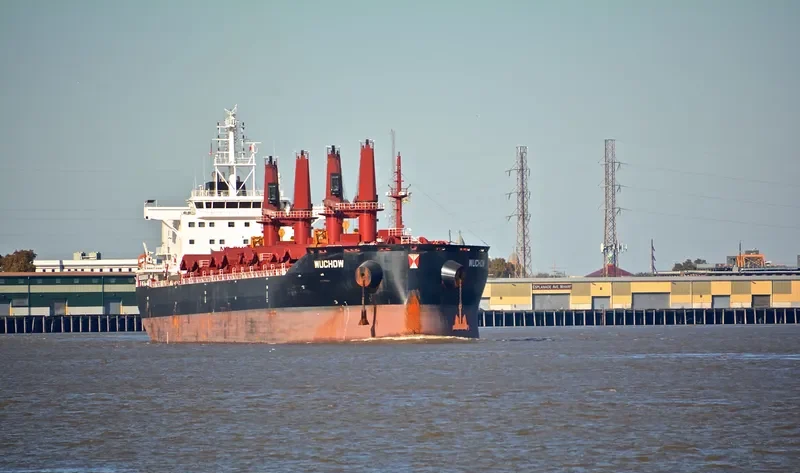 WUCHOW Bulk Carrier IMO 9657856 photo 6