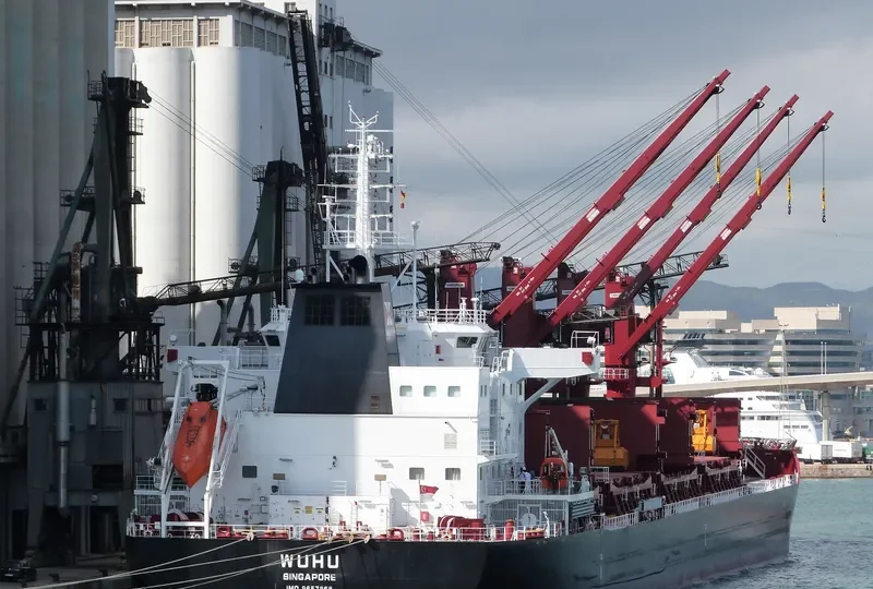 WUHU Bulk Carrier IMO 9657868