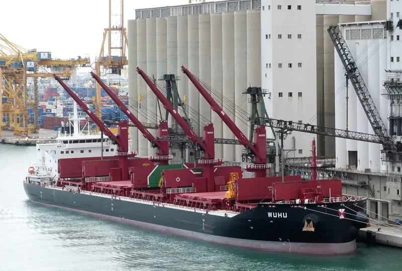 WUHU Bulk Carrier IMO 9657868 photo 2