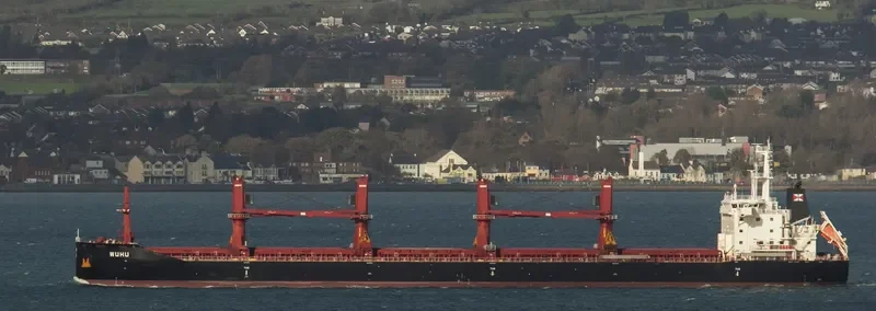 WUHU Bulk Carrier IMO 9657868 photo 3