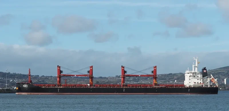 WUHU Bulk Carrier IMO 9657868 photo 4