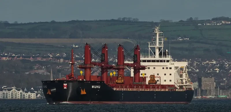 WUHU Bulk Carrier IMO 9657868 photo 5