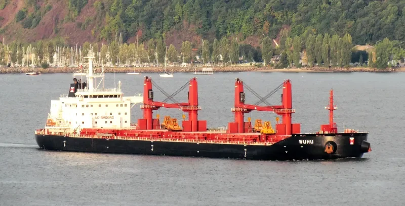WUHU Bulk Carrier IMO 9657868 photo 6