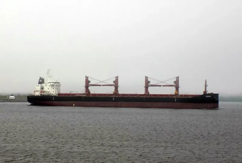 WUHU Bulk Carrier IMO 9657868 photo 9