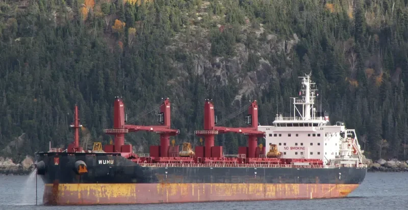WUHU Bulk Carrier IMO 9657868 photo 10