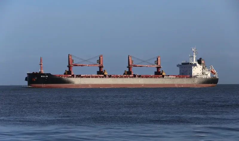 WULIN Bulk Carrier IMO 9657870 photo 2