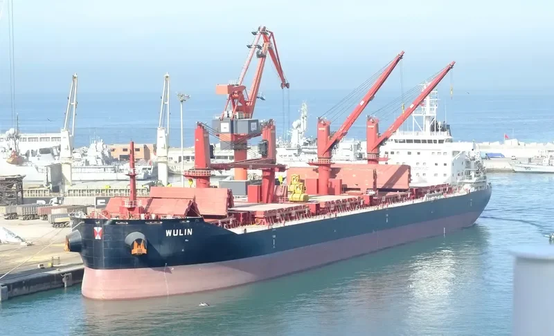 WULIN Bulk Carrier IMO 9657870 photo 3