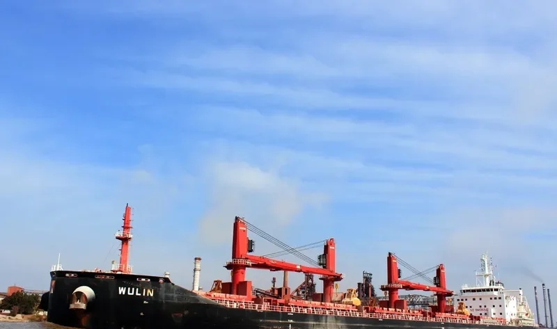 WULIN Bulk Carrier IMO 9657870 photo 4