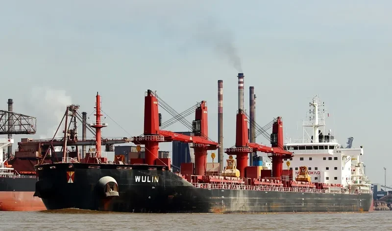 WULIN Bulk Carrier IMO 9657870 photo 5