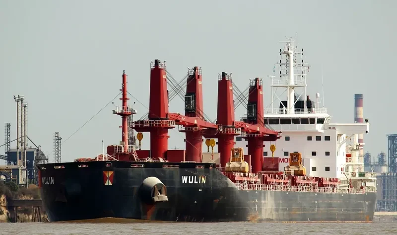 WULIN Bulk Carrier IMO 9657870 photo 6