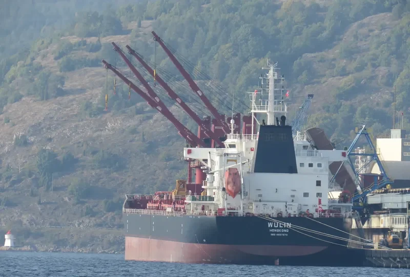 WULIN Bulk Carrier IMO 9657870 photo 7