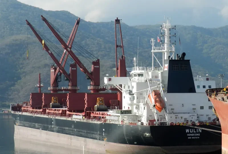 WULIN Bulk Carrier IMO 9657870 photo 8