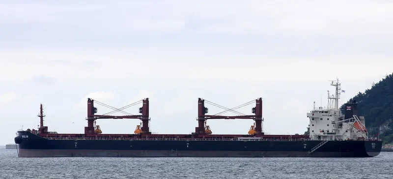 WULIN Bulk Carrier IMO 9657870 photo 9