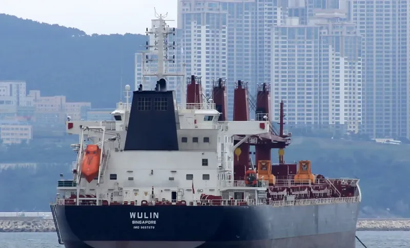 WULIN Bulk Carrier IMO 9657870 photo 10