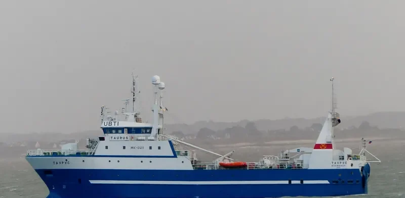 TAURUS General Cargo IMO 9657961 photo 4