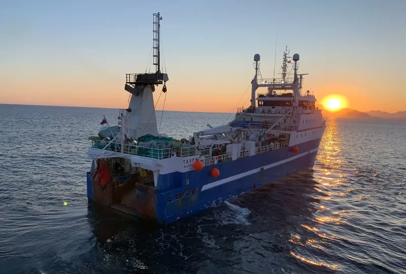 TAURUS General Cargo IMO 9657961 photo 8