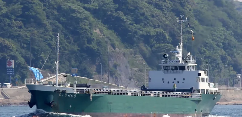 SYORYU General Cargo IMO 9657985 photo 3