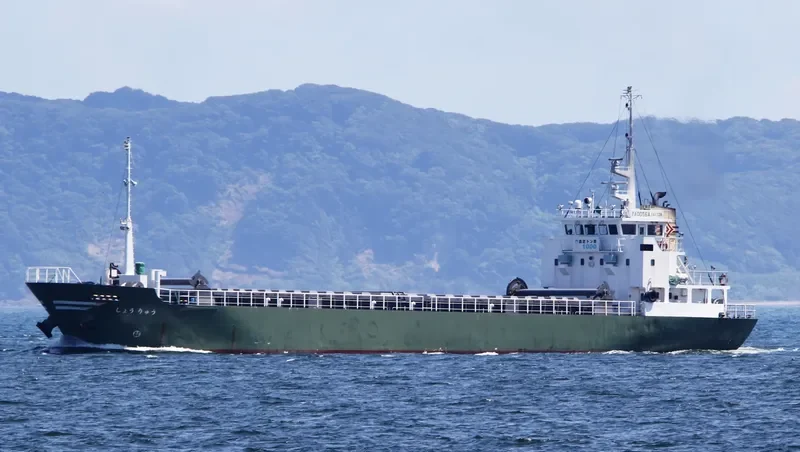 SYORYU General Cargo IMO 9657985 photo 8