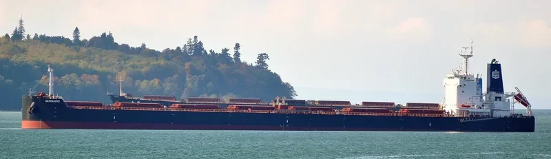 SEMIRAMIS Bulk Carrier IMO 9658056 photo 2