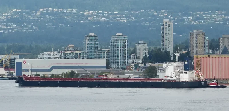 SEMIRAMIS Bulk Carrier IMO 9658056 photo 3