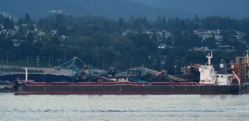 SEMIRAMIS Bulk Carrier IMO 9658056 photo 4
