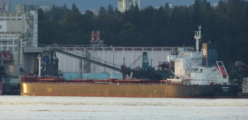 SEMIRAMIS Bulk Carrier IMO 9658056 photo 5