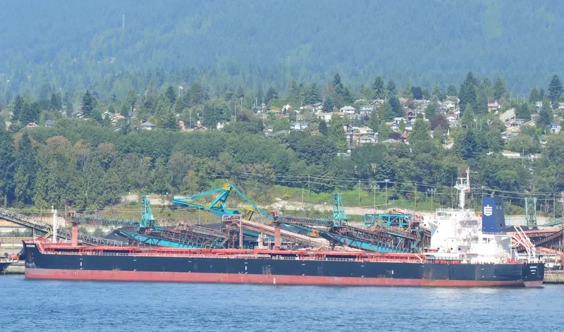 SEMIRAMIS Bulk Carrier IMO 9658056 photo 6