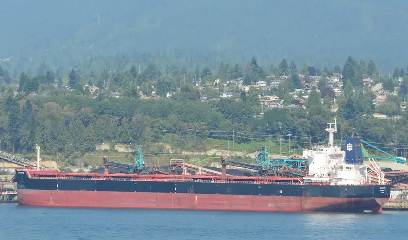 SEMIRAMIS Bulk Carrier IMO 9658056 photo 7