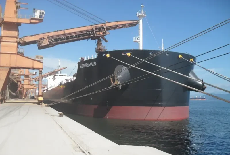 SEMIRAMIS Bulk Carrier IMO 9658056 photo 8