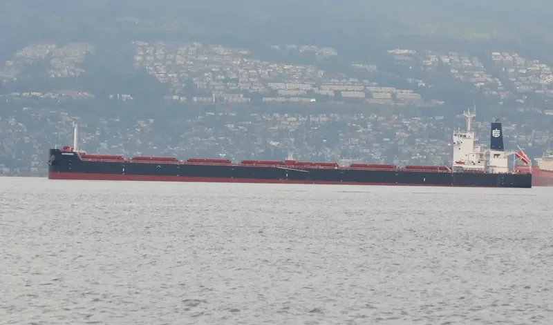 SEMIRAMIS Bulk Carrier IMO 9658056 photo 9