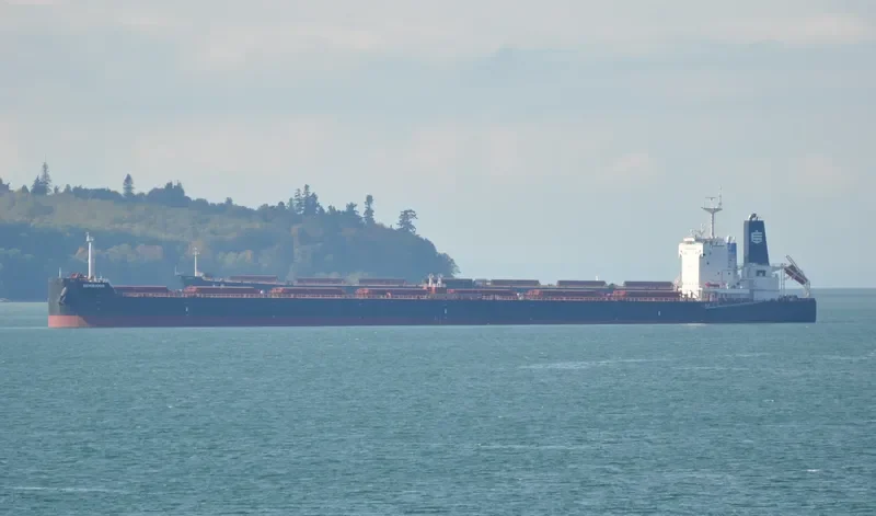 SEMIRAMIS Bulk Carrier IMO 9658056 photo 10