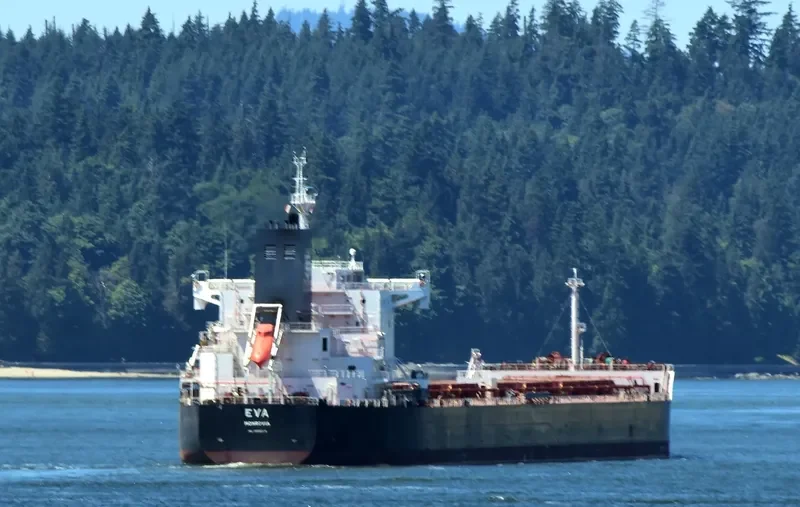 EVA Bulk Carrier IMO 9658068