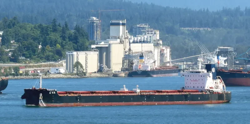 EVA Bulk Carrier IMO 9658068 photo 2
