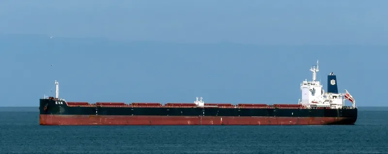 EVA Bulk Carrier IMO 9658068 photo 3